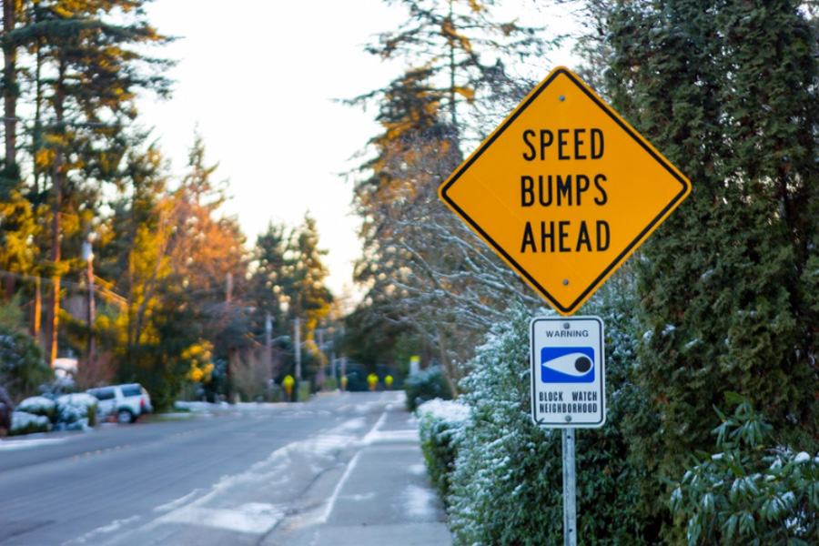 speed bumpers on sale