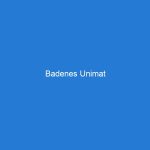 Badenes Unimat