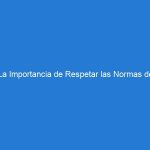 La Importancia de Respetar las Normas de Tránsito para Garantizar una Movilidad Segura: Consejos y B...