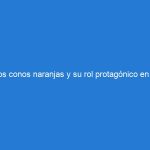 Los conos naranjas y su rol protagónico en la señalización preventiva