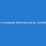 Los Guardianes Silenciosos de las Carreteras: Descubriendo el Papel Crucial de los Conos Naranjas