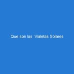 Que son las  Vialetas Solares