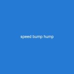 speed bump hump